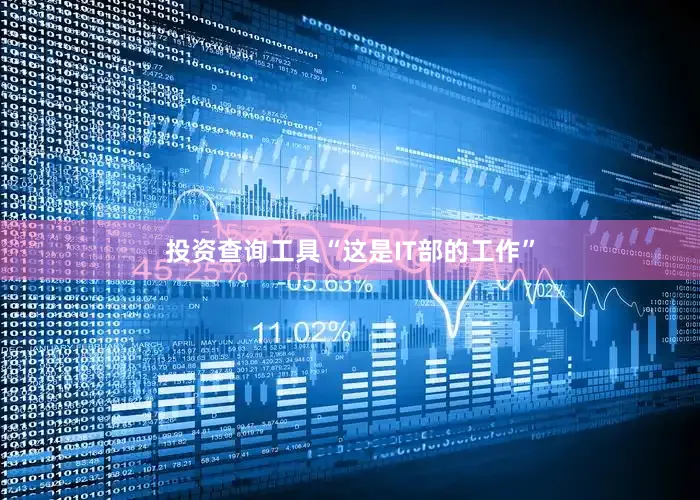 投资查询工具“这是IT部的工作”
