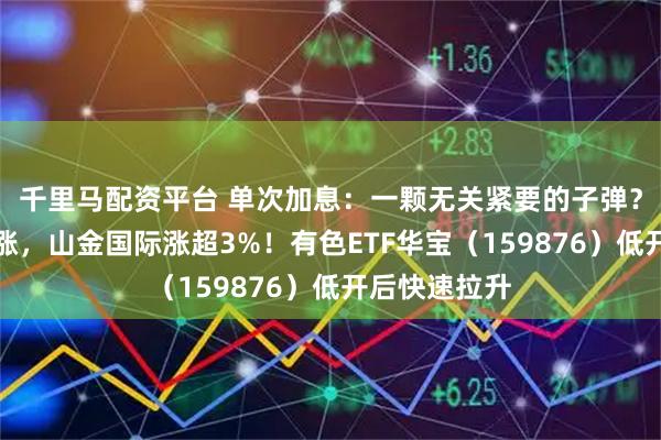 千里马配资平台 单次加息：一颗无关紧要的子弹？黄金龙头领涨，山金国际涨超3%！有色ETF华宝（159876）低开后快速拉升